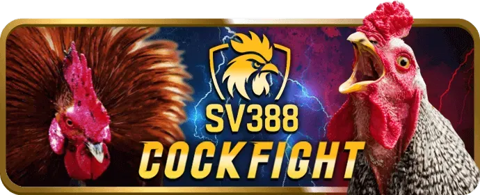 Chương trình hoàn trả tiền cược tại 7clubs game